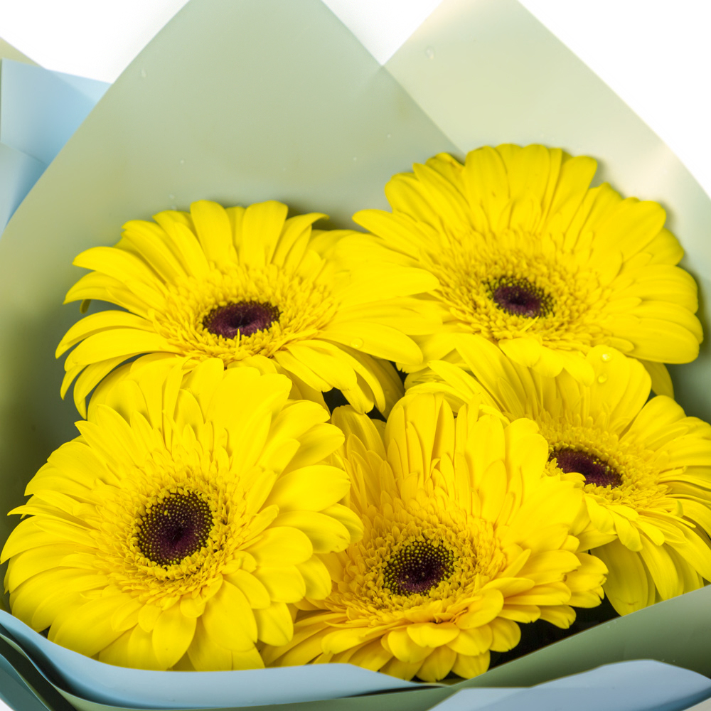 Яркий букет из 5 жёлтых гербер – как кусочек солнца в ваших руках Малгобек Республика Ингушетия